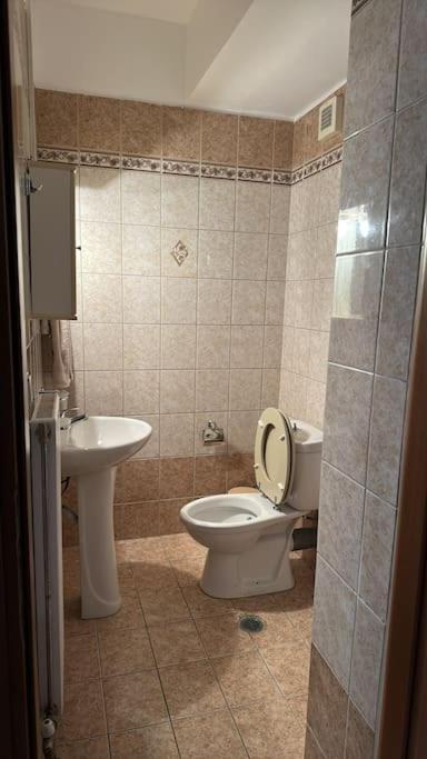 Aphome Daire Golos
